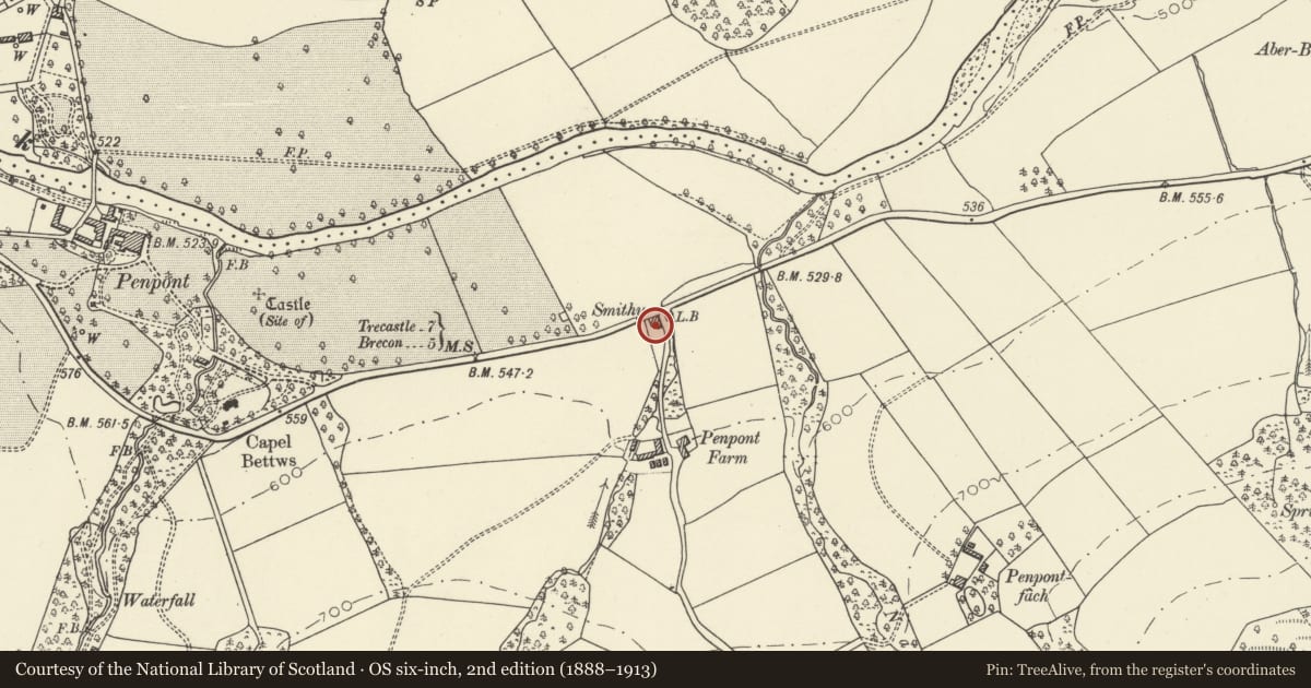 Ordnance Survey six-inch map, 2nd edition (1888–1913) covering the location of The Old Forge, Trallong, Powys, with a pin at the register's coordinates