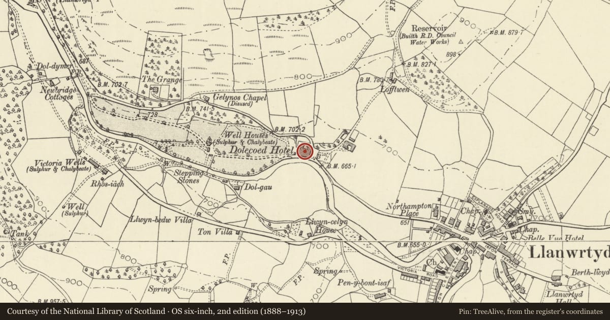Ordnance Survey six-inch map, 2nd edition (1888–1913) covering the location of Dol y Coed, Llanwrtyd Wells, Powys, with a pin at the register's coordinates
