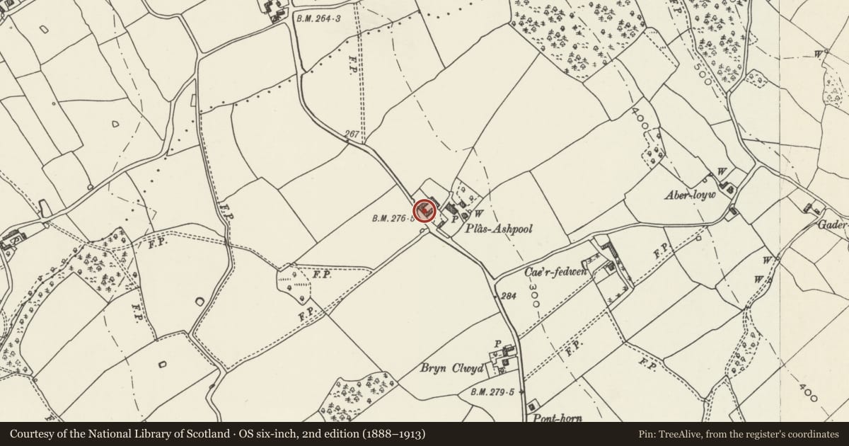 Ordnance Survey six-inch map, 2nd edition (1888–1913) covering the location of Two Parallel Barns with Linking Sheds at Plas Ashpool, Llandyrnog, Denbighshire, with a pin at the register's coordinates