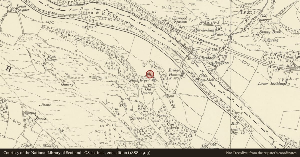 Ordnance Survey six-inch map, 2nd edition (1888–1913) covering the location of L-plan group of farmyard ranges at Ynys Wye Farmhouse, Erwood, Powys, with a pin at the register's coordinates