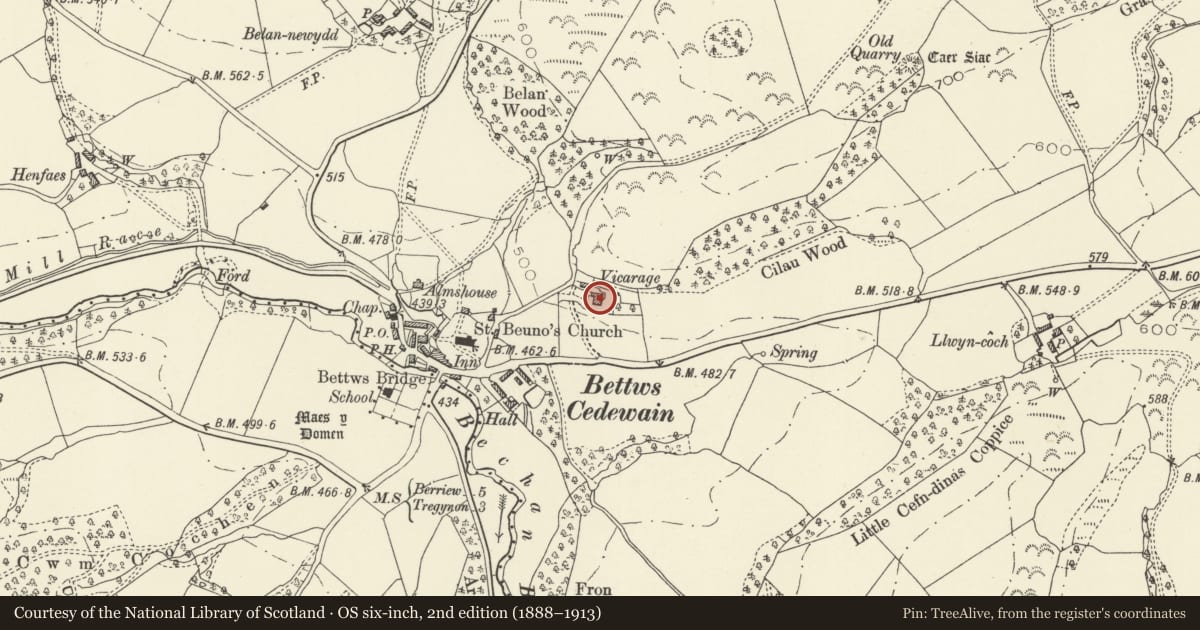 Ordnance Survey six-inch map, 2nd edition (1888–1913) covering the location of The Vicarage, Bettws, Powys, with a pin at the register's coordinates