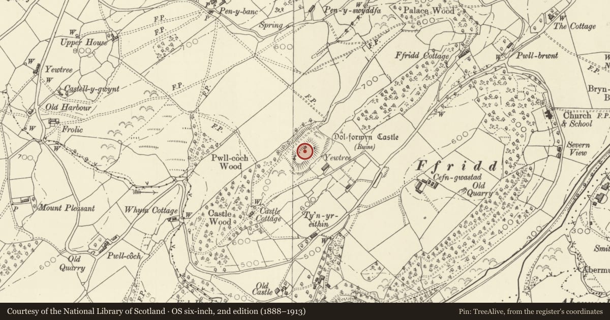 Ordnance Survey six-inch map, 2nd edition (1888–1913) covering the location of Dolforwyn Castle, Llandyssil, Powys, with a pin at the register's coordinates