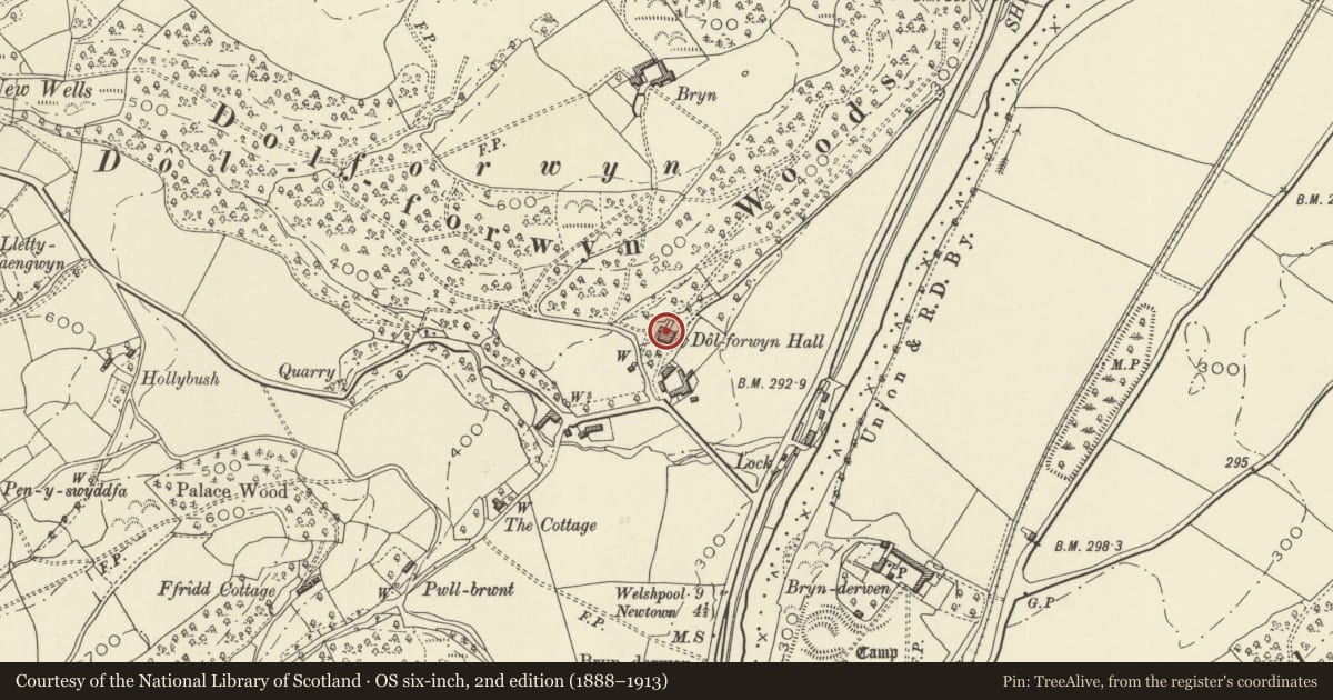 Ordnance Survey six-inch map, 2nd edition (1888–1913) covering the location of Dolforwyn Hall Hotel, Llandyssil, Powys, with a pin at the register's coordinates