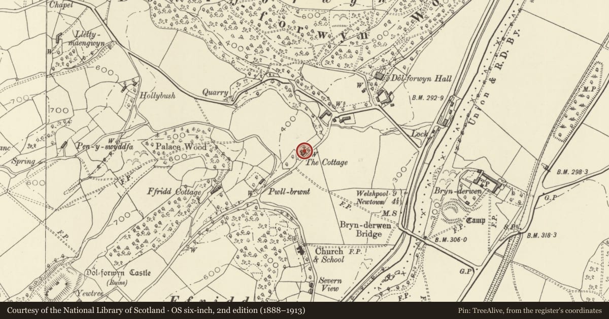 Ordnance Survey six-inch map, 2nd edition (1888–1913) covering the location of The Cottage, Llandyssil, Powys, with a pin at the register's coordinates