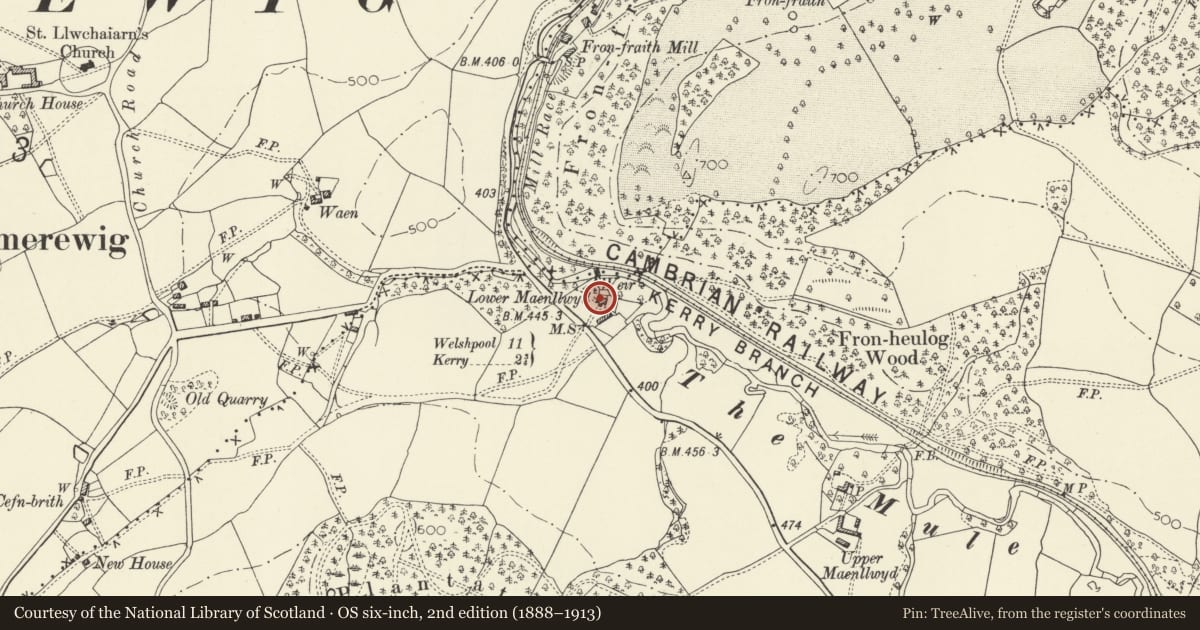 Ordnance Survey six-inch map, 2nd edition (1888–1913) covering the location of Lower Maenllwyd, Llandyssil, Powys, with a pin at the register's coordinates