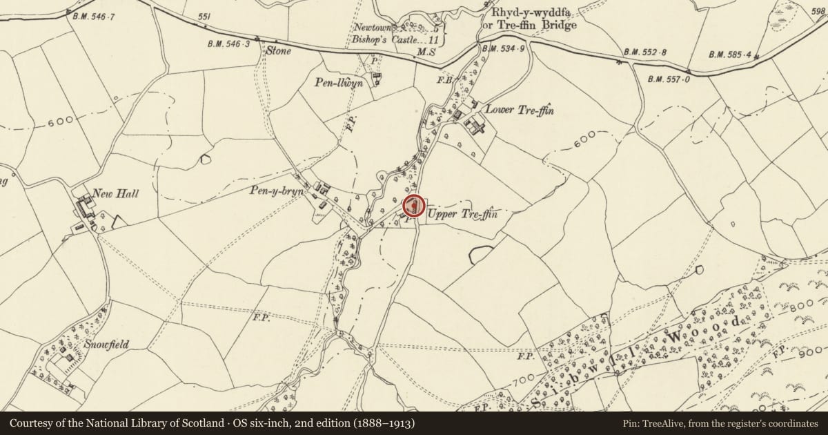 Ordnance Survey six-inch map, 2nd edition (1888–1913) covering the location of Upper Trefeen, Kerry, Powys, with a pin at the register's coordinates