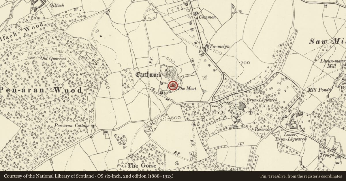 Ordnance Survey six-inch map, 2nd edition (1888–1913) covering the location of The Moat, Kerry, Powys, with a pin at the register's coordinates