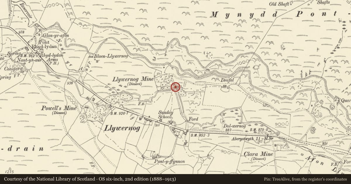 Ordnance Survey six-inch map, 2nd edition (1888–1913) covering the location of Rock-crusher house and wheel-pit at Llywernog Mine, Blaenrheidol, Ceredigion, with a pin at the register's coordinates