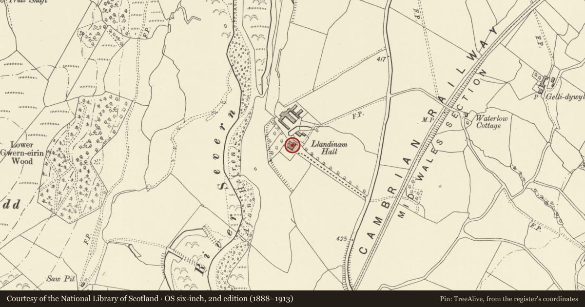 Ordnance Survey six-inch map, 2nd edition (1888–1913) covering the location of Llandinam Hall, Powys, with a pin at the register's coordinates