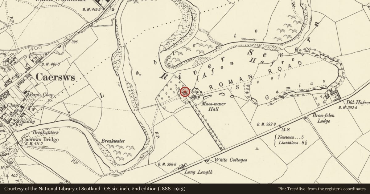 Ordnance Survey six-inch map, 2nd edition (1888–1913) covering the location of Maesmawr Hall Hotel, Caersws, Powys, with a pin at the register's coordinates