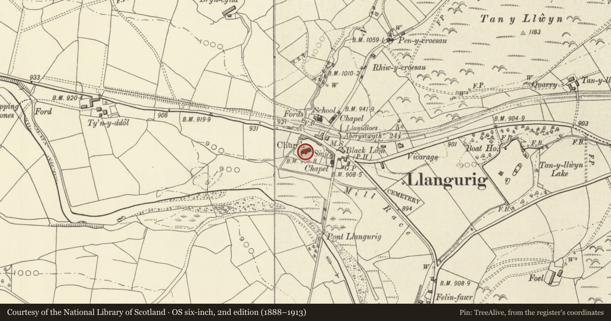 Ordnance Survey six-inch map, 2nd edition (1888–1913) covering the location of Church of St Curig, Llangurig, Powys, with a pin at the register's coordinates
