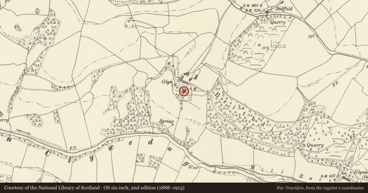 Ordnance Survey six-inch map, 2nd edition (1888–1913) covering the location of Glyn Clywedog, Llanidloes Without, Powys, with a pin at the register's coordinates