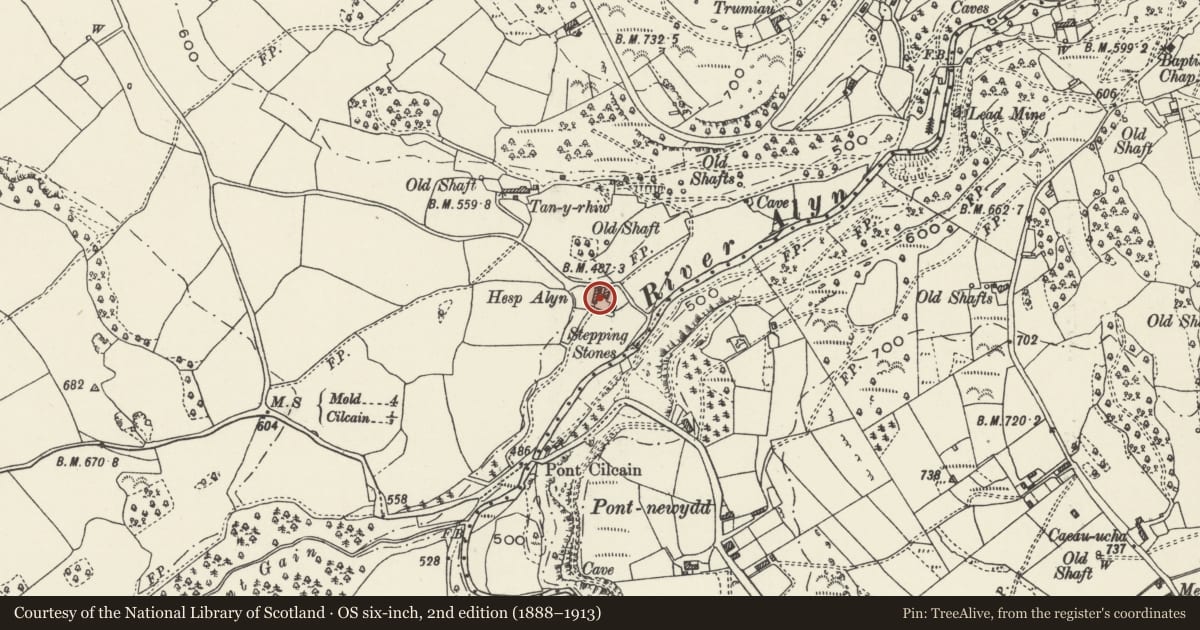 Ordnance Survey six-inch map, 2nd edition (1888–1913) covering the location of Hesp Alyn, Cilcain, Flintshire, with a pin at the register's coordinates
