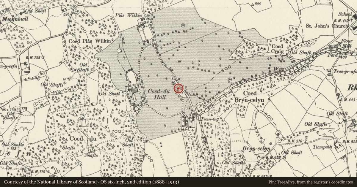 Ordnance Survey six-inch map, 2nd edition (1888–1913) covering the location of Bath House, Cilcain, Flintshire, with a pin at the register's coordinates