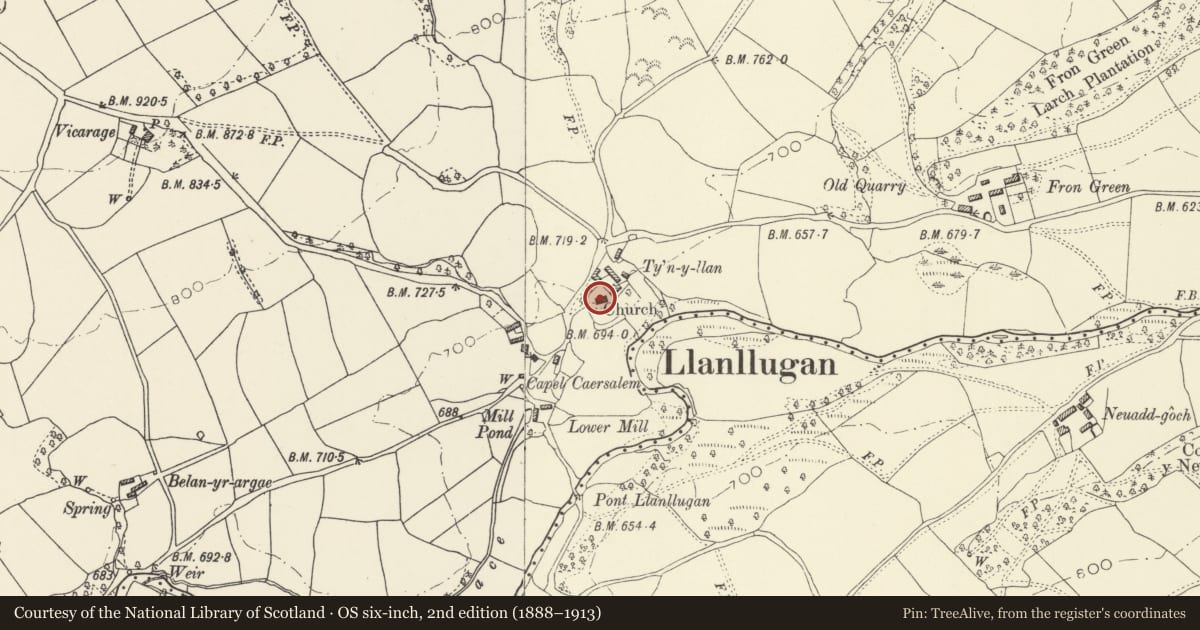 Ordnance Survey six-inch map, 2nd edition (1888–1913) covering the location of Church of St Mary, Dwyriw, Powys, with a pin at the register's coordinates