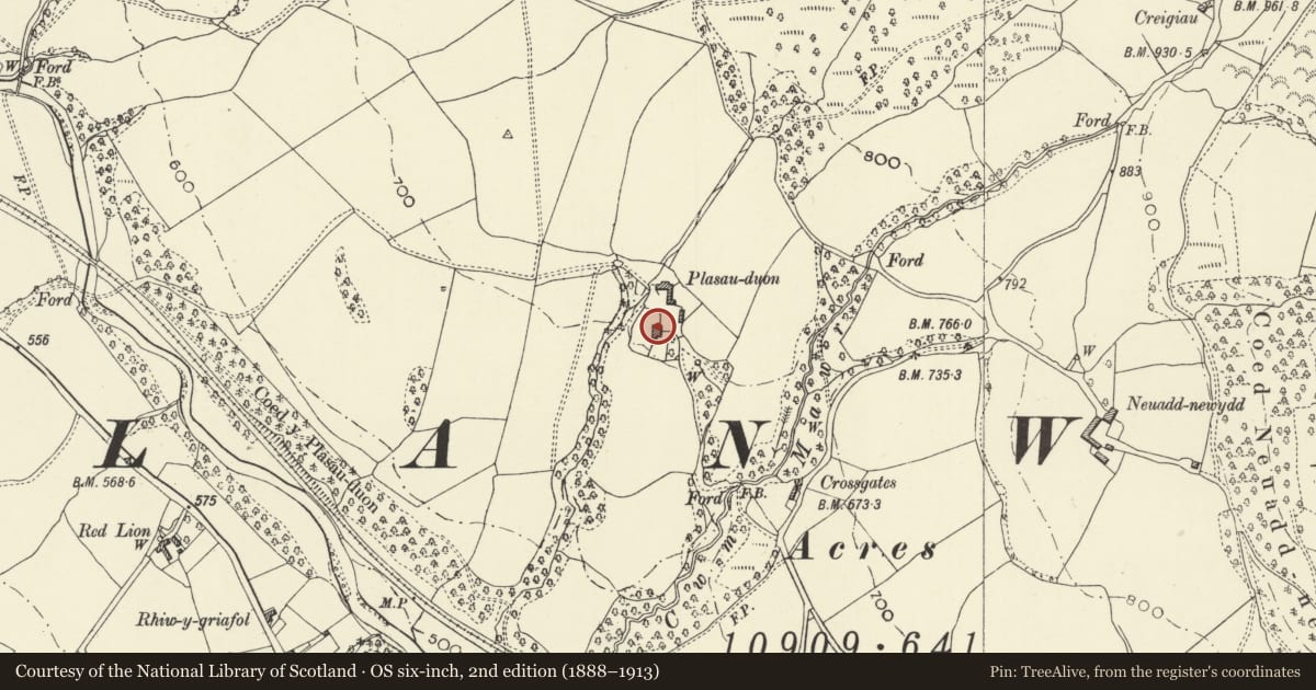 Ordnance Survey six-inch map, 2nd edition (1888–1913) covering the location of Plasau duon, Caersws, Powys, with a pin at the register's coordinates