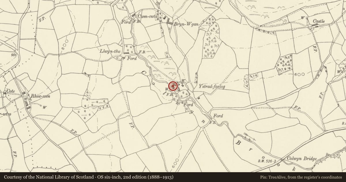 Ordnance Survey six-inch map, 2nd edition (1888–1913) covering the location of Ystradfaelog, Trefeglwys, Powys, with a pin at the register's coordinates