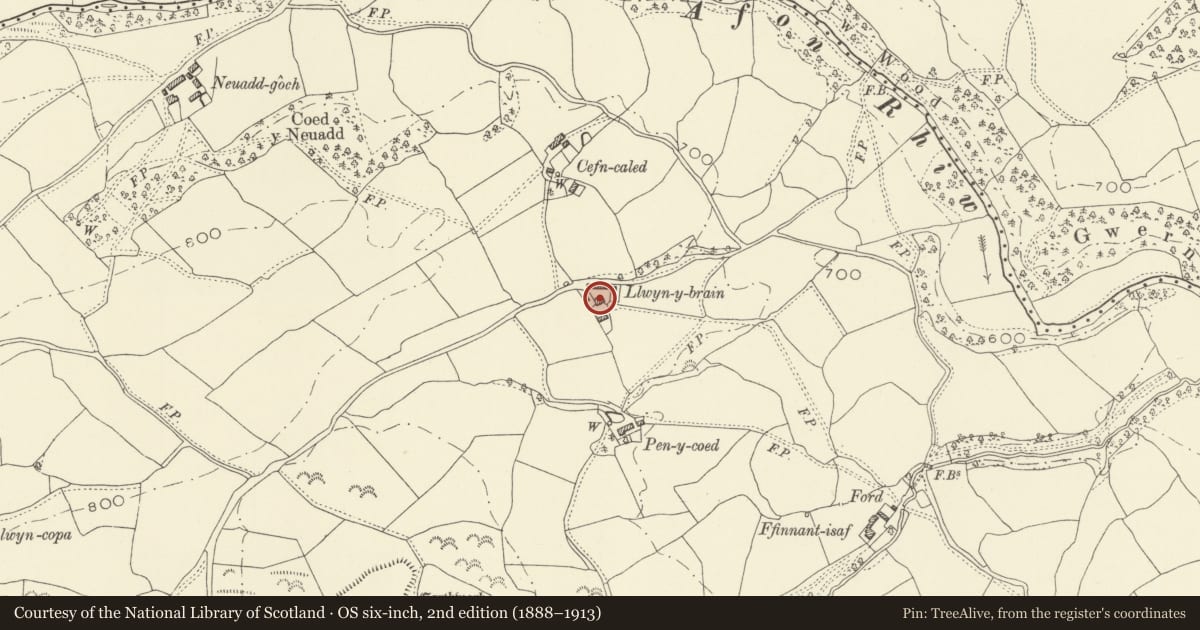Ordnance Survey six-inch map, 2nd edition (1888–1913) covering the location of Llwyn-y-brain, Dwyriw, Powys, with a pin at the register's coordinates