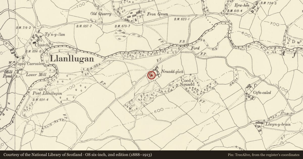 Ordnance Survey six-inch map, 2nd edition (1888–1913) covering the location of Neuadd Goch, Dwyriw, Powys, with a pin at the register's coordinates