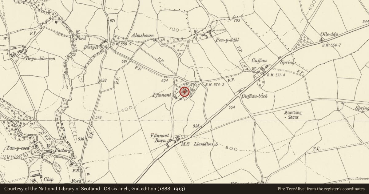 Ordnance Survey six-inch map, 2nd edition (1888–1913) covering the location of The Old Ffinnant, Trefeglwys, Powys, with a pin at the register's coordinates
