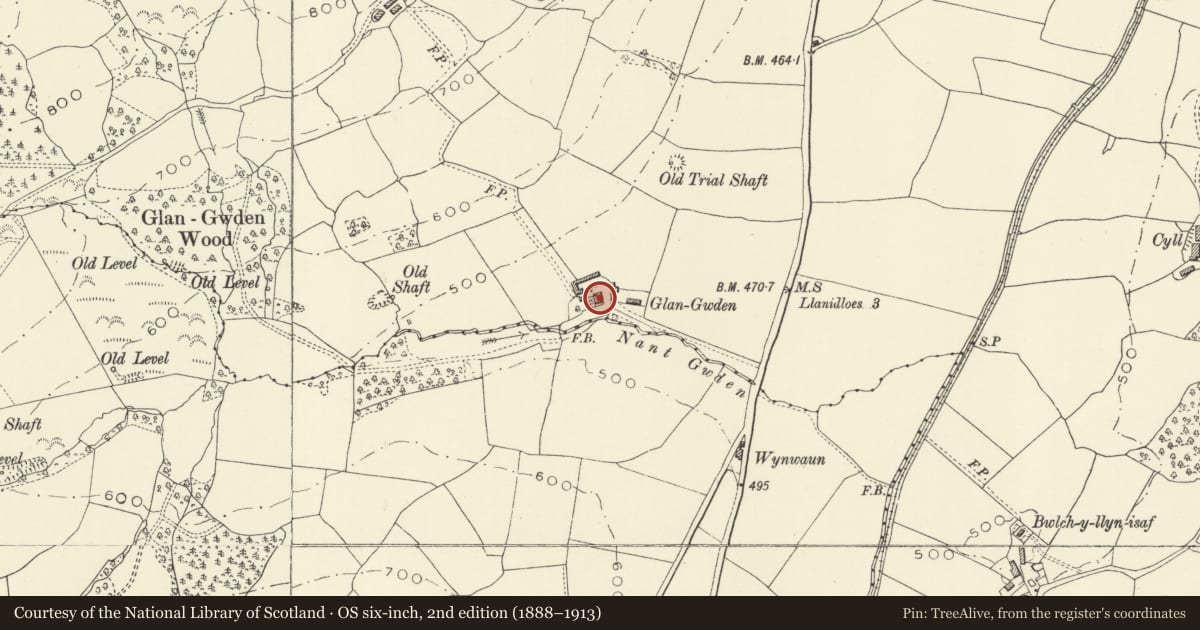 Ordnance Survey six-inch map, 2nd edition (1888–1913) covering the location of Glangwden, Trefeglwys, Powys, with a pin at the register's coordinates