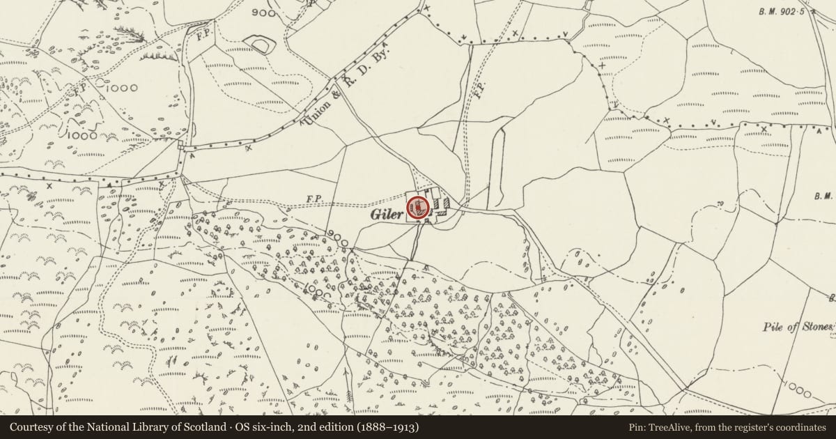 Ordnance Survey six-inch map, 2nd edition (1888–1913) covering the location of Barn at Gilar, Pentrefoelas, Conwy, with a pin at the register's coordinates