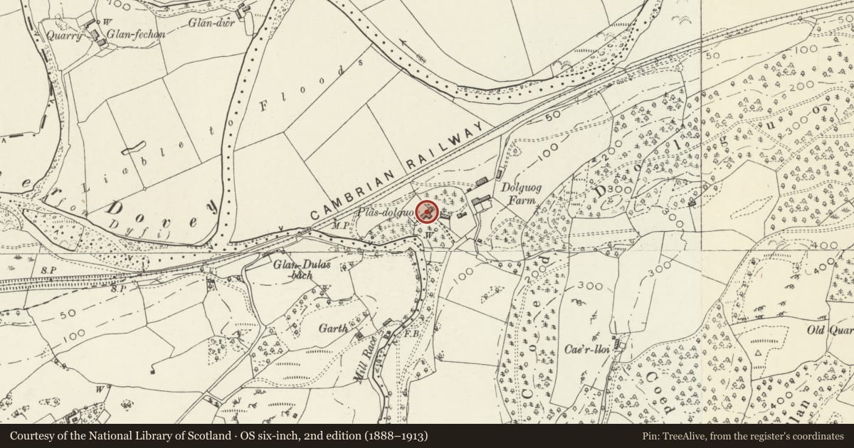 Ordnance Survey six-inch map, 2nd edition (1888–1913) covering the location of Plas Dolguog, Cadfarch, Powys, with a pin at the register's coordinates