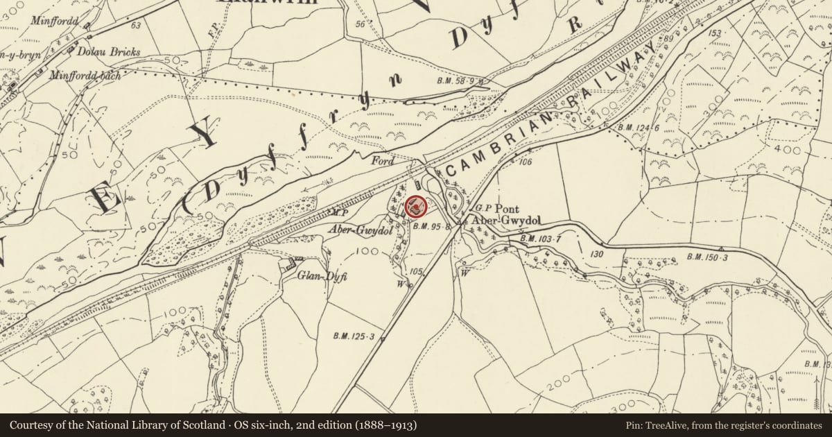 Ordnance Survey six-inch map, 2nd edition (1888–1913) covering the location of Abergwydol, Cadfarch, Powys, with a pin at the register's coordinates