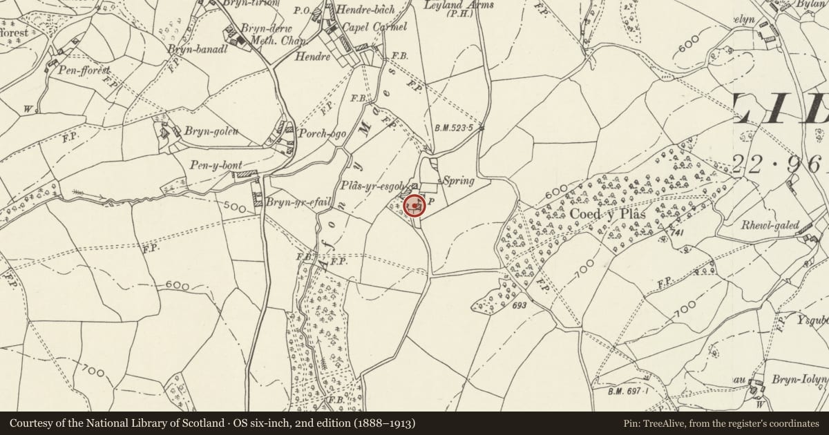 Ordnance Survey six-inch map, 2nd edition (1888–1913) covering the location of Stable Range at Plas-yr-esgob, Llanelidan, Denbighshire, with a pin at the register's coordinates
