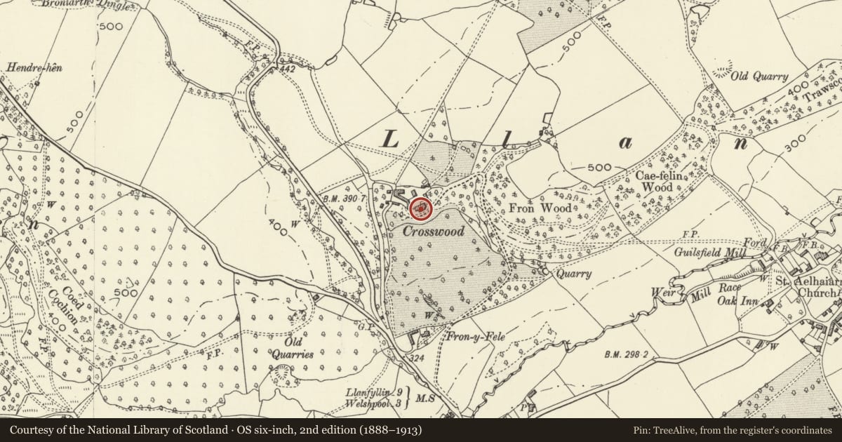 Ordnance Survey six-inch map, 2nd edition (1888–1913) covering the location of Trawscoed Hall (also known as Crosswood), Guilsfield, Powys, with a pin at the register's coordinates