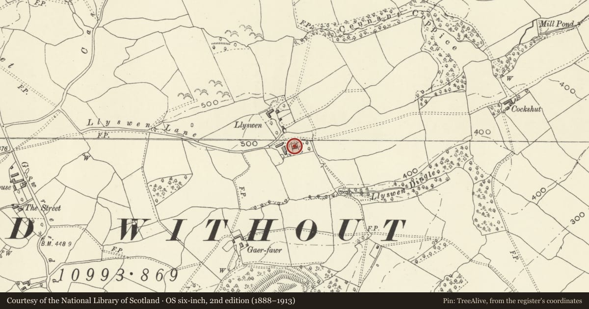 Ordnance Survey six-inch map, 2nd edition (1888–1913) covering the location of Llyswen, Guilsfield, Powys, with a pin at the register's coordinates