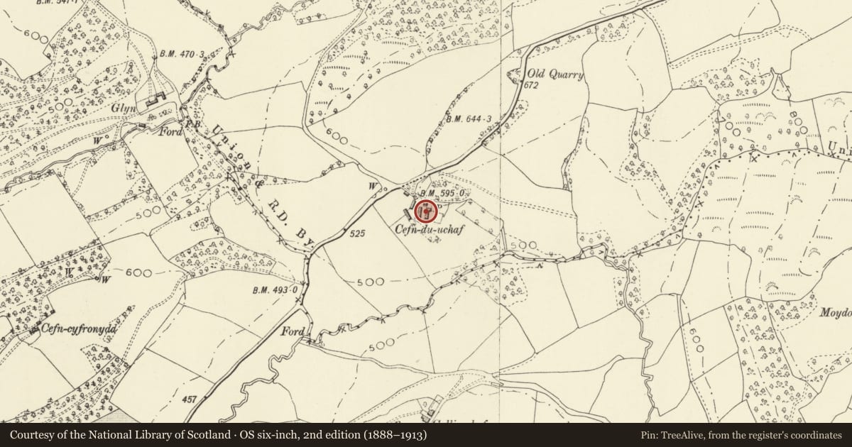 Ordnance Survey six-inch map, 2nd edition (1888–1913) covering the location of Cefn du Uchaf Farmhouse, Guilsfield, Powys, with a pin at the register's coordinates