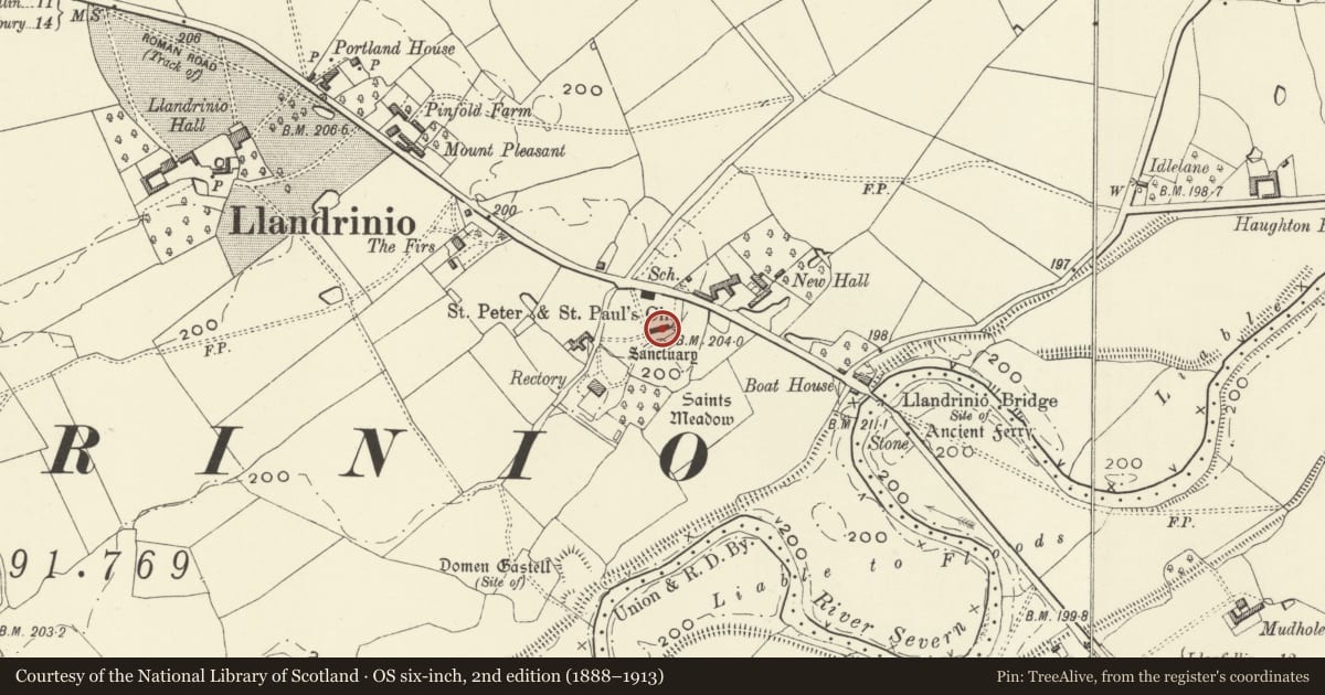 Ordnance Survey six-inch map, 2nd edition (1888–1913) covering the location of Church of St Trunio, Llandrinio, Powys, with a pin at the register's coordinates