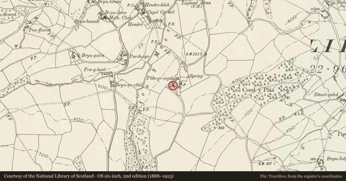 Ordnance Survey six-inch map, 2nd edition (1888–1913) covering the location of Lofted Cartshed Range at Plas-yr-esgob, Llanelidan, Denbighshire, with a pin at the register's coordinates