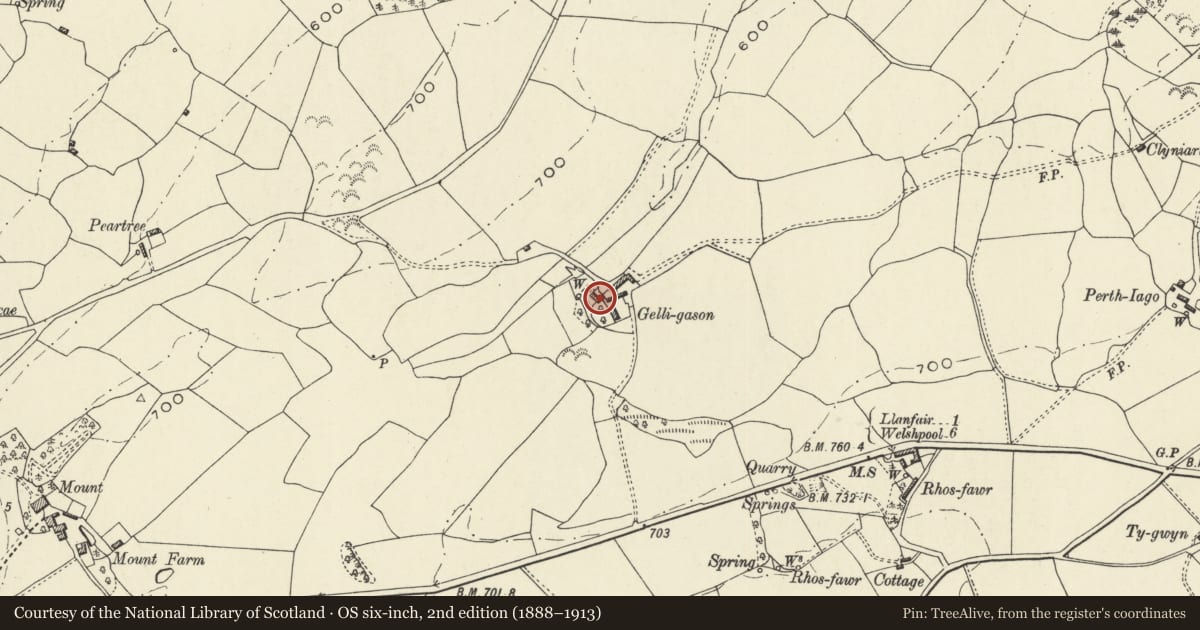Ordnance Survey six-inch map, 2nd edition (1888–1913) covering the location of Gelli Gason, Llanfair Caereinion, Powys, with a pin at the register's coordinates