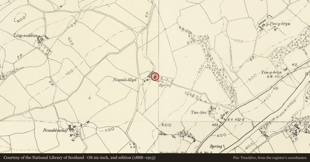 Ordnance Survey six-inch map, 2nd edition (1888–1913) covering the location of Neuadd Lwyd, Llanfair Caereinion, Powys, with a pin at the register's coordinates