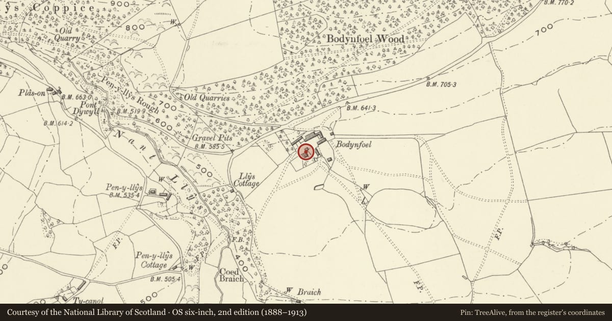 Ordnance Survey six-inch map, 2nd edition (1888–1913) covering the location of Bodynfoel and Tanrhiw Farmhouses, Llanfechain, Powys, with a pin at the register's coordinates