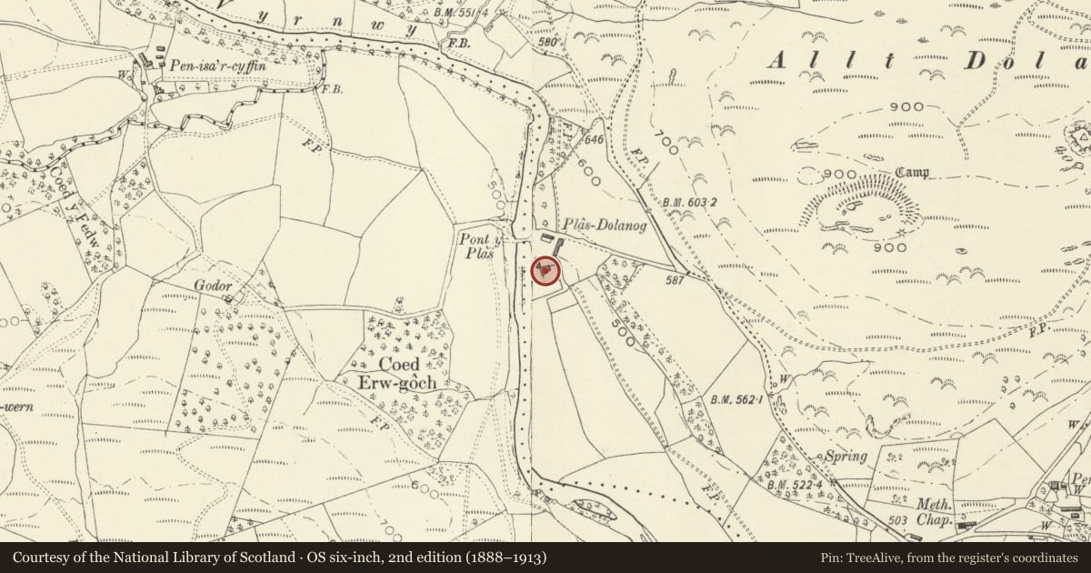 Ordnance Survey six-inch map, 2nd edition (1888–1913) covering the location of Plas-Dolanog, Llanfihangel, Powys, with a pin at the register's coordinates