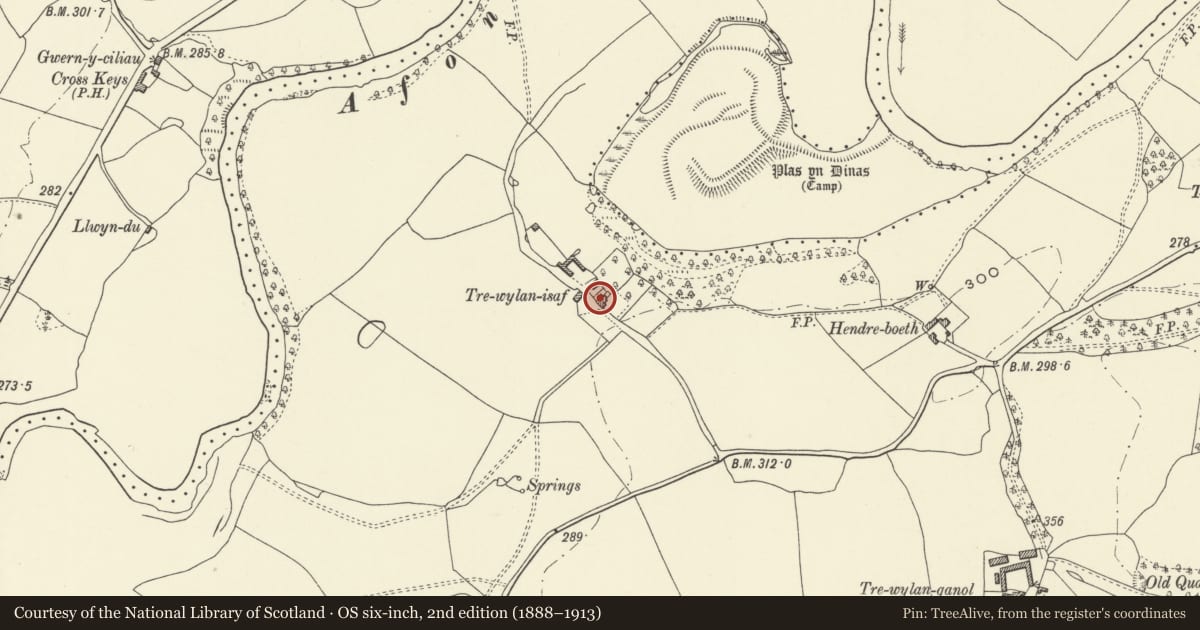Ordnance Survey six-inch map, 2nd edition (1888–1913) covering the location of Lower Trewylan (Trewylan Isaf), Llansantffraid, Powys, with a pin at the register's coordinates