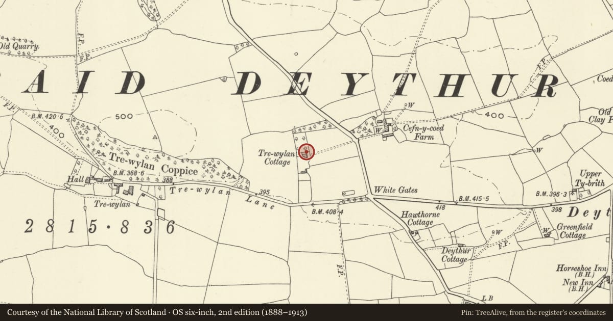Ordnance Survey six-inch map, 2nd edition (1888–1913) covering the location of Bronheulog, Llansantffraid, Powys, with a pin at the register's coordinates