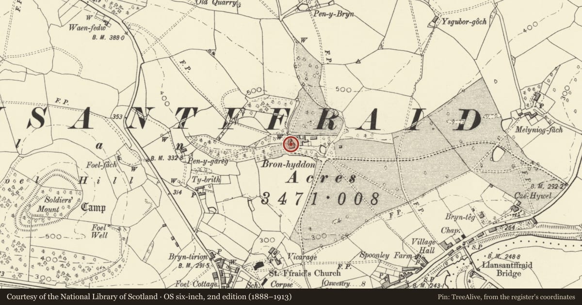 Ordnance Survey six-inch map, 2nd edition (1888–1913) covering the location of Bronhyddon, Llansantffraid, Powys, with a pin at the register's coordinates