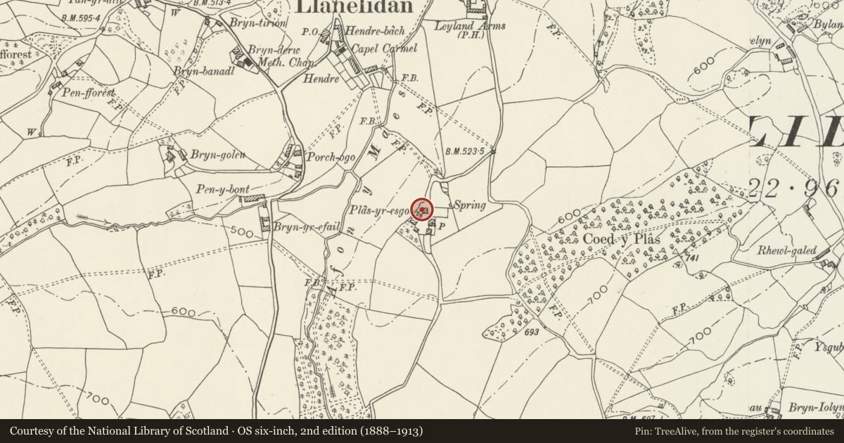 Ordnance Survey six-inch map, 2nd edition (1888–1913) covering the location of Cowhouse at Plas-yr-esgob, Llanelidan, Denbighshire, with a pin at the register's coordinates