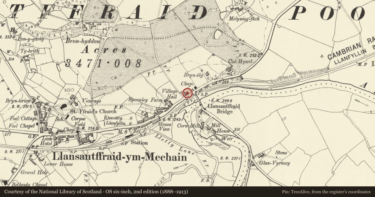Ordnance Survey six-inch map, 2nd edition (1888–1913) covering the location of Bridge House, with walled and railed forecourt, Llansantffraid, Powys, with a pin at the register's coordinates
