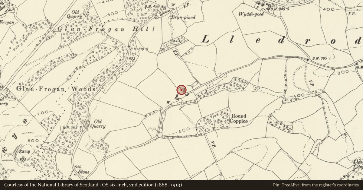 Ordnance Survey six-inch map, 2nd edition (1888–1913) covering the location of Cefnllyfnog Farmhouse, Llansantffraid, Powys, with a pin at the register's coordinates