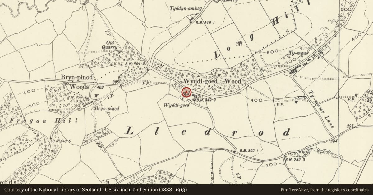 Ordnance Survey six-inch map, 2nd edition (1888–1913) covering the location of Wyddigoed, Llansantffraid, Powys, with a pin at the register's coordinates