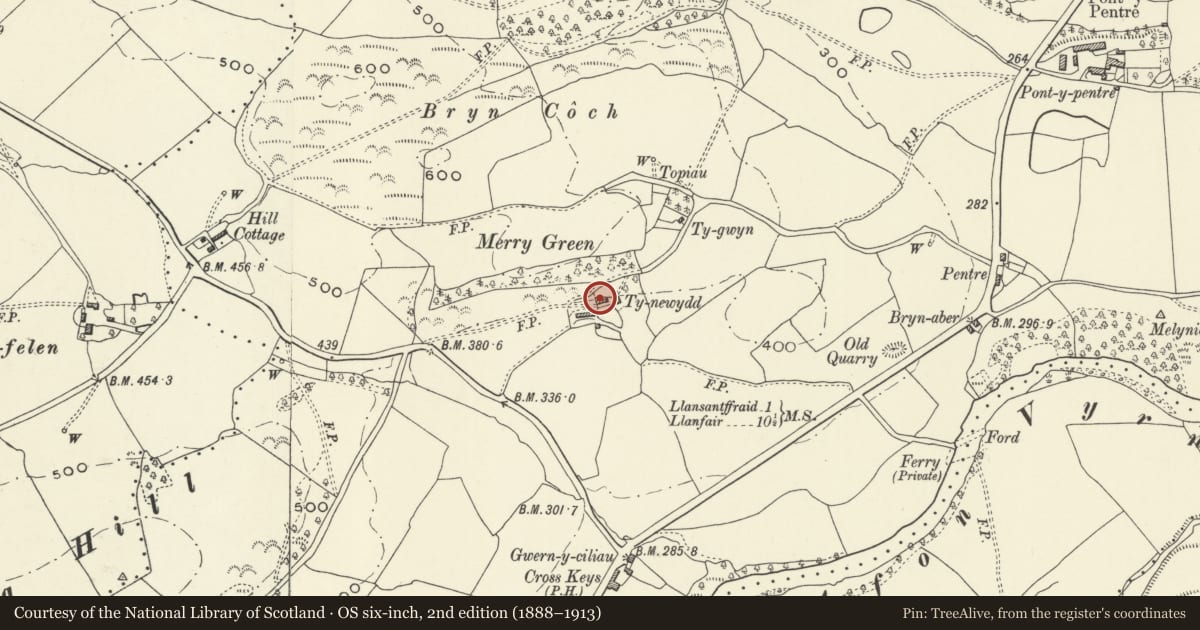Ordnance Survey six-inch map, 2nd edition (1888–1913) covering the location of Ty-newydd, Llansantffraid, Powys, with a pin at the register's coordinates