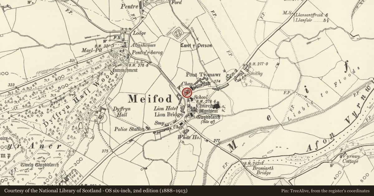 Ordnance Survey six-inch map, 2nd edition (1888–1913) covering the location of Vyrnwy House (including the front garden railings), Meifod, Powys, with a pin at the register's coordinates