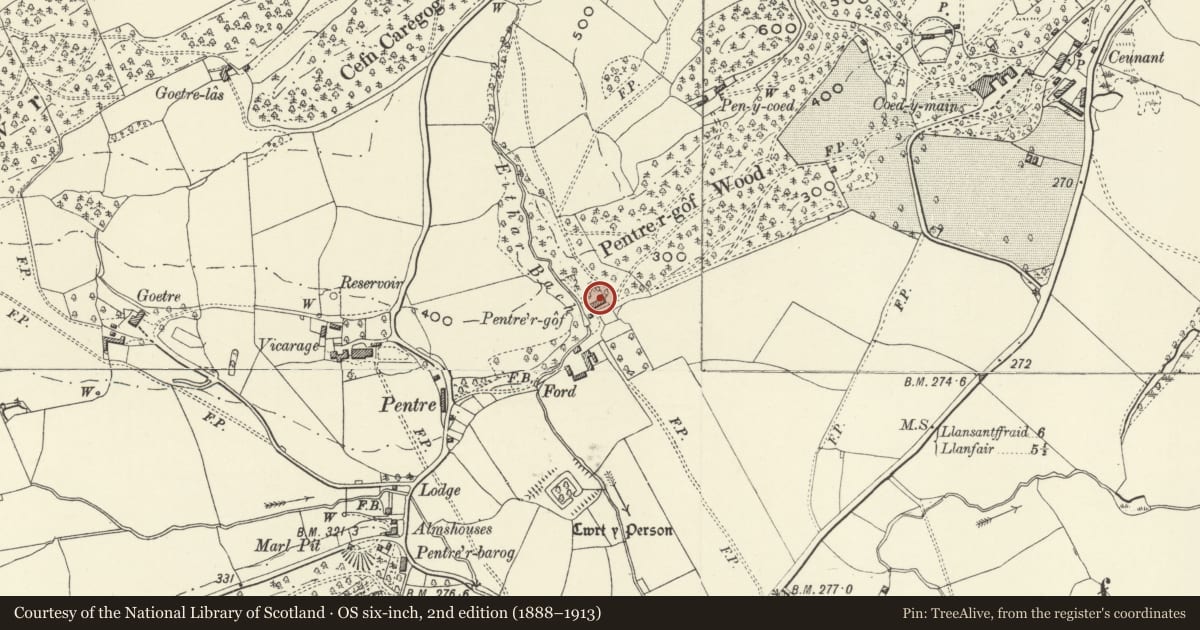 Ordnance Survey six-inch map, 2nd edition (1888–1913) covering the location of Pentre'r Gof (also known as Pentrego), Meifod, Powys, with a pin at the register's coordinates