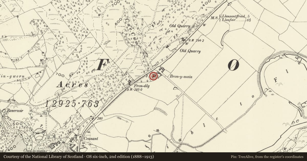 Ordnance Survey six-inch map, 2nd edition (1888–1913) covering the location of Bron-y-Main, Meifod, Powys, with a pin at the register's coordinates