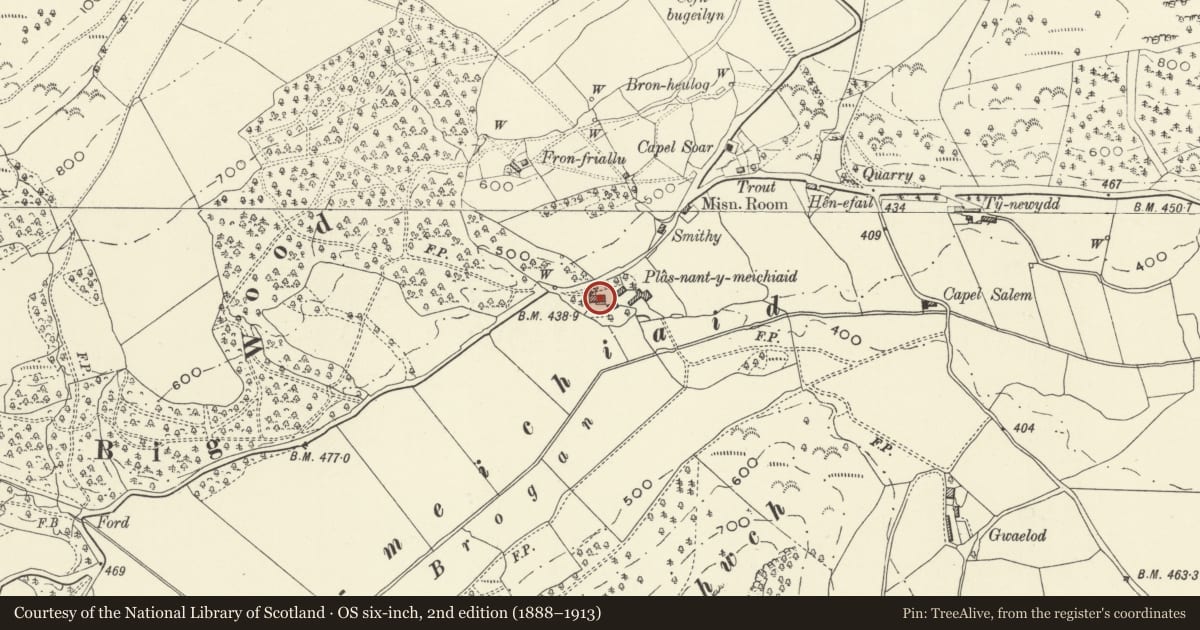 Ordnance Survey six-inch map, 2nd edition (1888–1913) covering the location of Plas Nant-y-Meichiaid, Meifod, Powys, with a pin at the register's coordinates